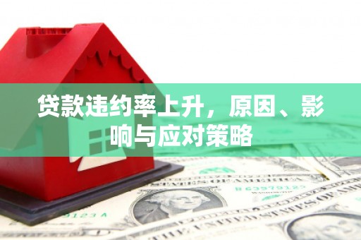 田家庵贷款违约率上升，原因、影响与应对策略