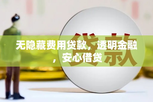 田家庵无隐藏费用贷款，透明金融，安心借贷