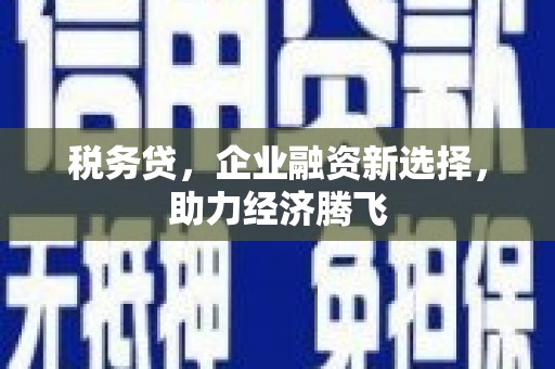 田家庵税务贷，企业融资新选择，助力经济腾飞