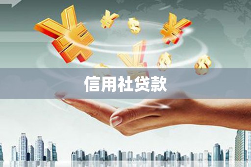 田家庵信用社贷款