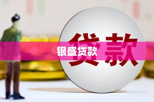 田家庵银盛贷款