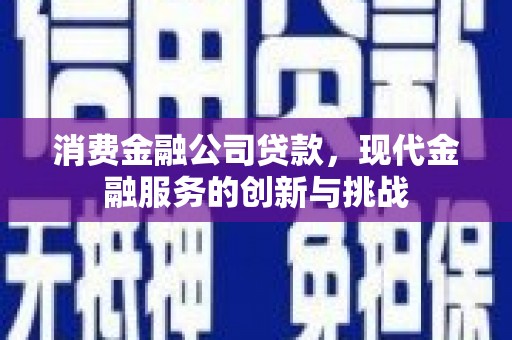 田家庵消费金融公司贷款，现代金融服务的创新与挑战
