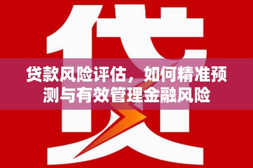 田家庵贷款风险评估，如何精准预测与有效管理金融风险