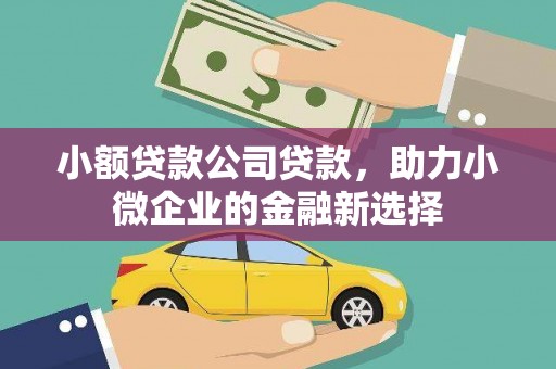 田家庵小额贷款公司贷款，助力小微企业的金融新选择
