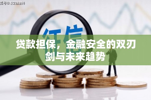 田家庵贷款担保，金融安全的双刃剑与未来趋势