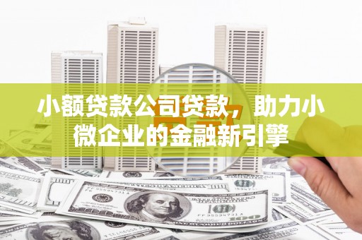 田家庵小额贷款公司贷款，助力小微企业的金融新引擎