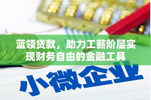 田家庵蓝领贷款，助力工薪阶层实现财务自由的金融工具