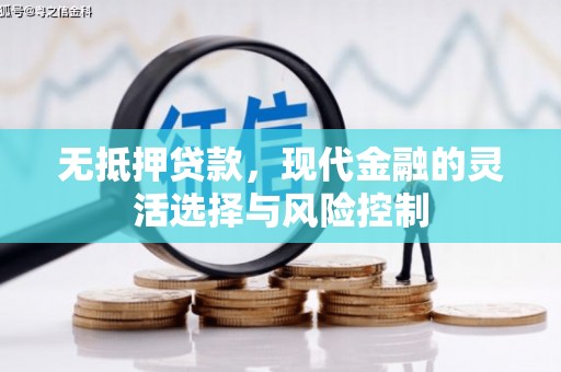 田家庵无抵押贷款，现代金融的灵活选择与风险控制