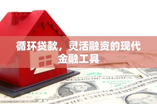 田家庵循环贷款，灵活融资的现代金融工具