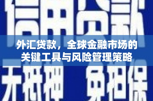 田家庵外汇贷款，全球金融市场的关键工具与风险管理策略