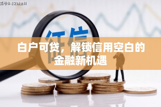 田家庵白户可贷，解锁信用空白的金融新机遇