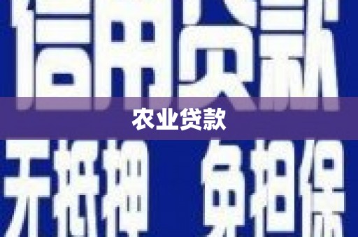 田家庵农业贷款