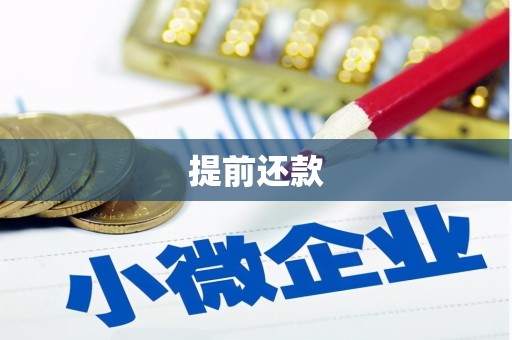田家庵提前还款