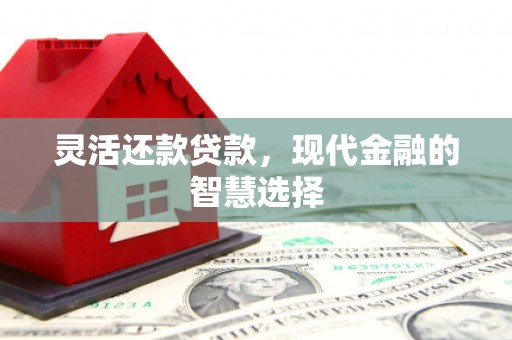 田家庵灵活还款贷款，现代金融的智慧选择