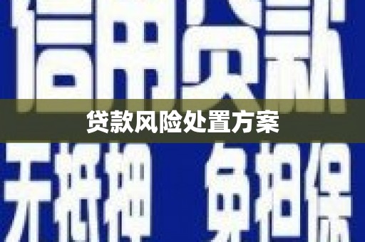 田家庵贷款风险处置方案