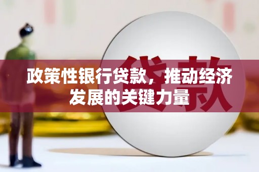 田家庵政策性银行贷款，推动经济发展的关键力量