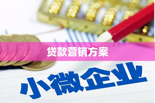 田家庵贷款营销方案