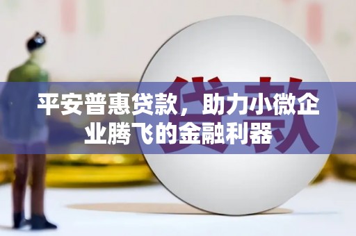 田家庵平安普惠贷款，助力小微企业腾飞的金融利器