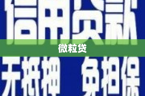 田家庵微粒贷