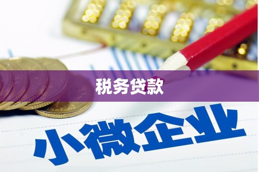 田家庵税务贷款
