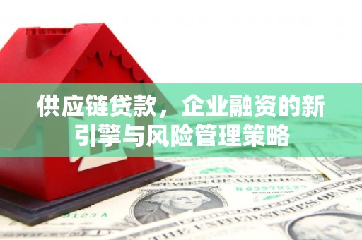 田家庵供应链贷款，企业融资的新引擎与风险管理策略