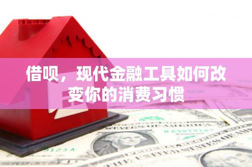 田家庵借呗，现代金融工具如何改变你的消费习惯