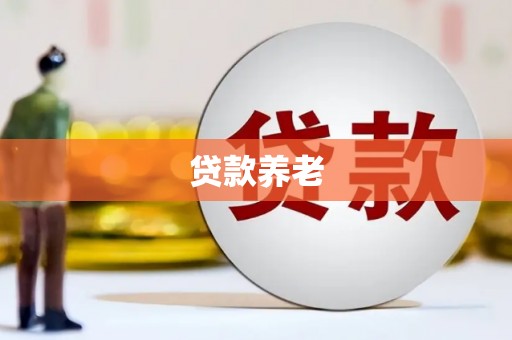 田家庵贷款养老