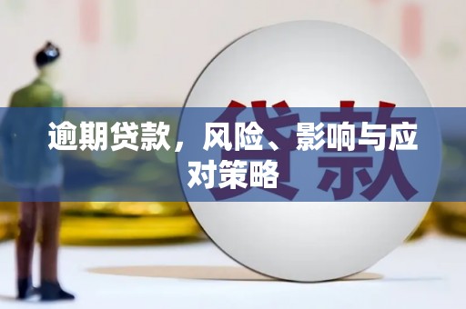田家庵逾期贷款，风险、影响与应对策略