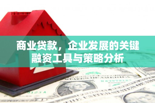 田家庵商业贷款，企业发展的关键融资工具与策略分析