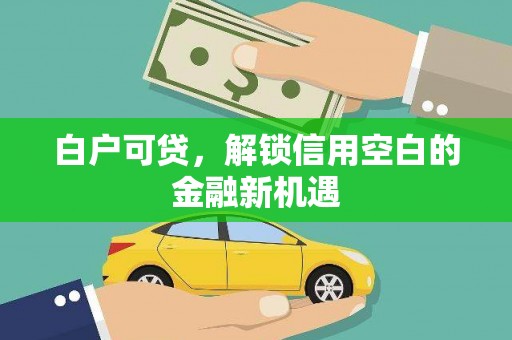 田家庵白户可贷，解锁信用空白的金融新机遇