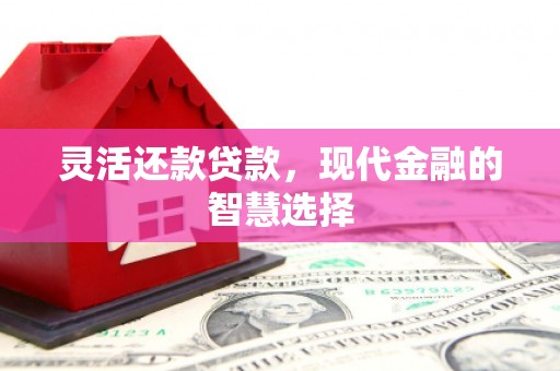 田家庵灵活还款贷款，现代金融的智慧选择