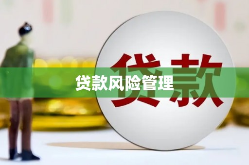 田家庵贷款风险管理