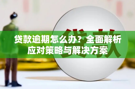 田家庵贷款逾期怎么办？全面解析应对策略与解决方案
