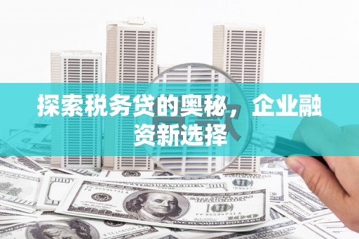田家庵探索税务贷的奥秘，企业融资新选择