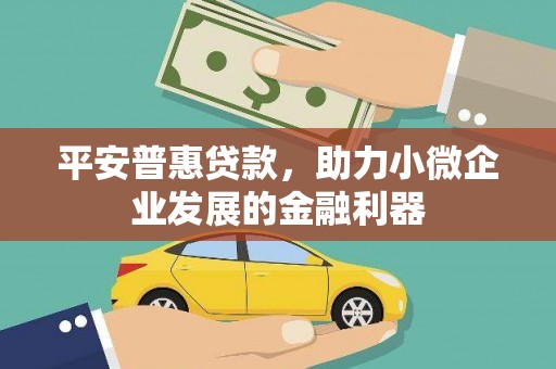 田家庵平安普惠贷款，助力小微企业发展的金融利器
