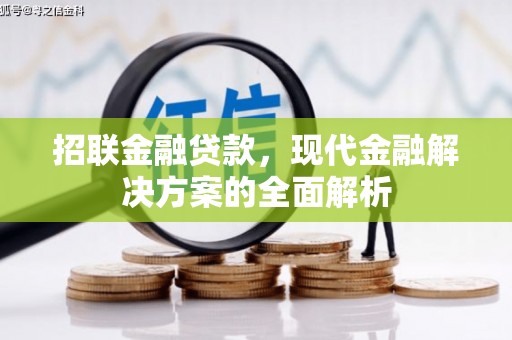 田家庵招联金融贷款，现代金融解决方案的全面解析