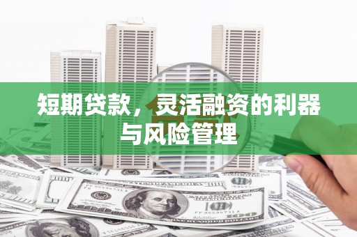 田家庵短期贷款，灵活融资的利器与风险管理