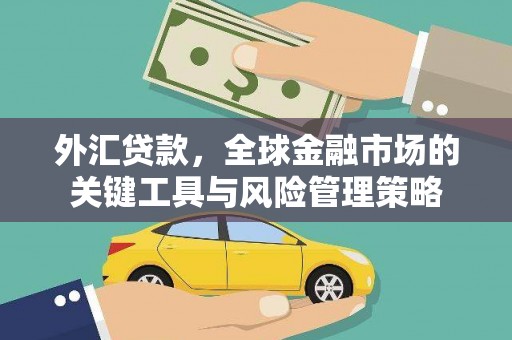 田家庵外汇贷款，全球金融市场的关键工具与风险管理策略