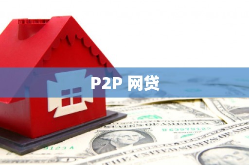 田家庵P2P 网贷