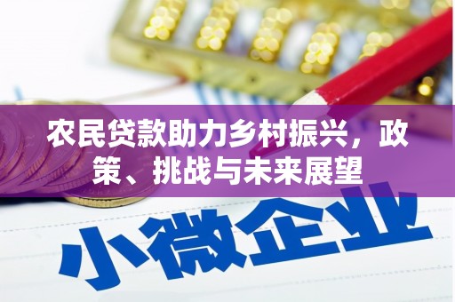 田家庵农民贷款助力乡村振兴，政策、挑战与未来展望