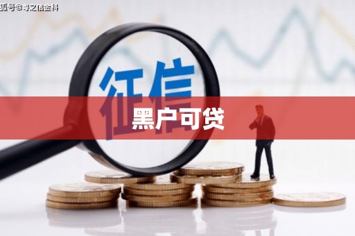 田家庵黑户可贷