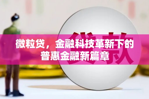 田家庵微粒贷，金融科技革新下的普惠金融新篇章