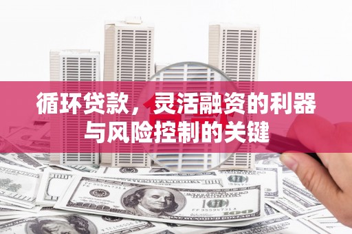 田家庵循环贷款，灵活融资的利器与风险控制的关键