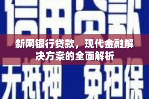 田家庵新网银行贷款，现代金融解决方案的全面解析