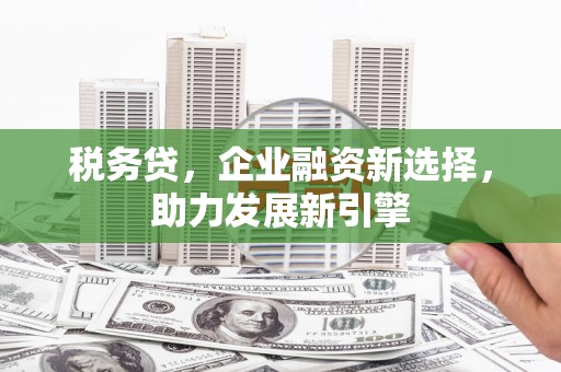 田家庵税务贷，企业融资新选择，助力发展新引擎