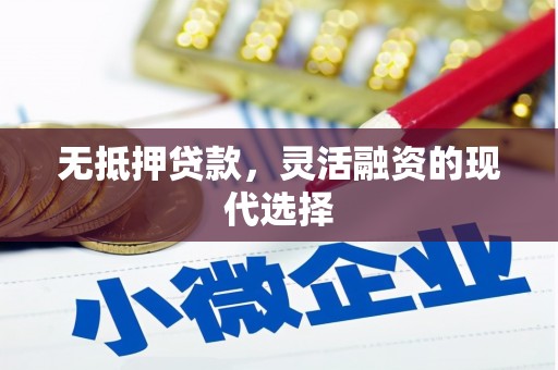 田家庵无抵押贷款，灵活融资的现代选择