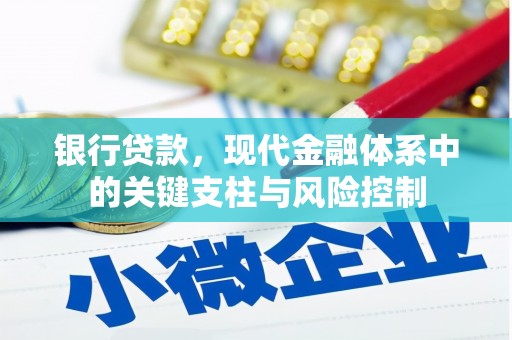 田家庵银行贷款，现代金融体系中的关键支柱与风险控制