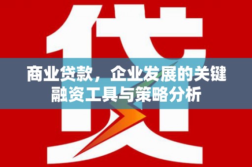 田家庵商业贷款，企业发展的关键融资工具与策略分析