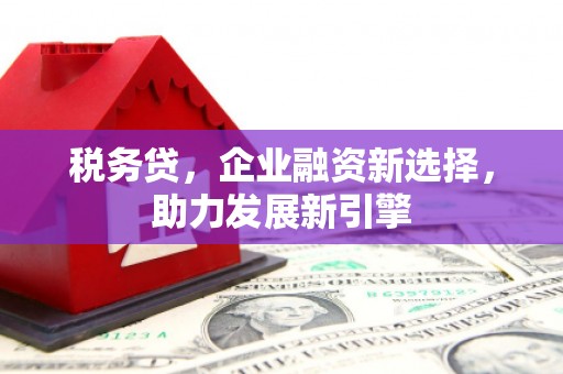 田家庵税务贷，企业融资新选择，助力发展新引擎