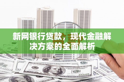 田家庵新网银行贷款，现代金融解决方案的全面解析